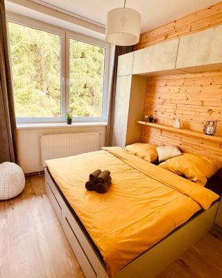 #Apt23 - Apartmán 23 - Novohradské hory