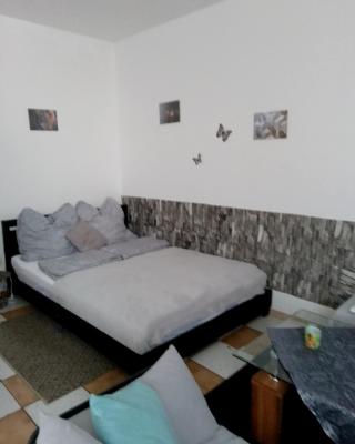 Schöne Studiowohnung, renoviert, zentrale Lage