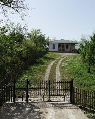 Renovated 3-bedroom House in Nature - Iskia Estate