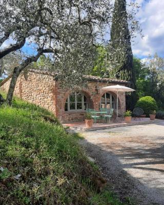 Gli sterpi