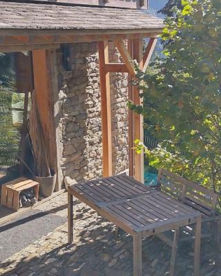 Studio -Zen in Nature-