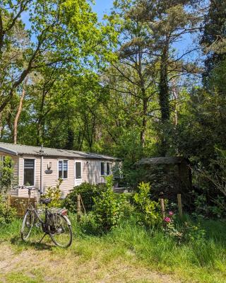 Ruim Chalet, midden in het bos!