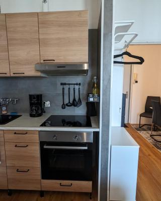 Zentrales Studio-Apartment in Linz, Arbeiter-hit