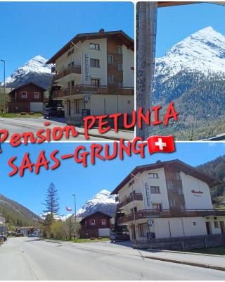 Chalet Petunia In Swiss Alps