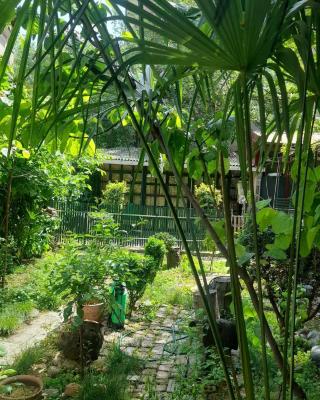 Gardens in Vake, Tbilisi