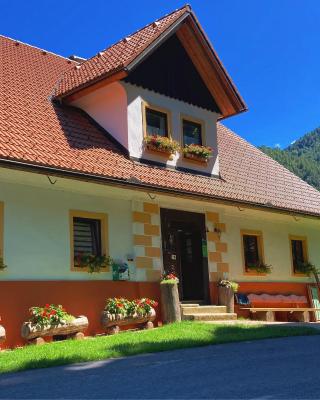 Tourist farm Gradišnik