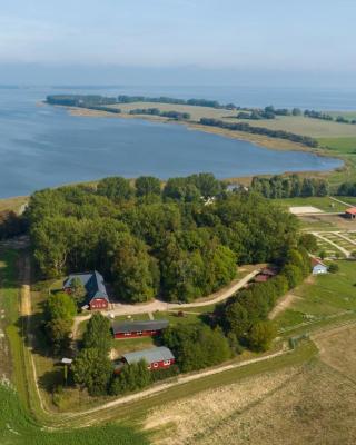 Bernsteinland Barth