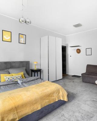 Spacious Apartament in the heart of Poznań