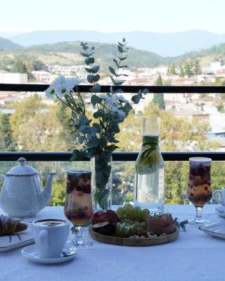 Hotel Panoramic