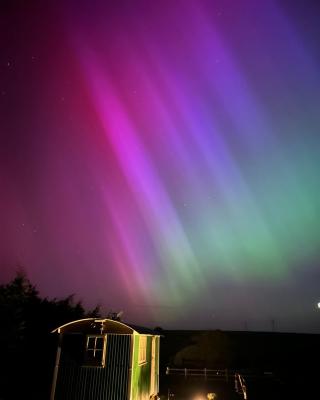 Toms Hut and Robins Rest Shepherd Huts near Wadebridge