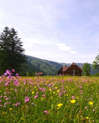Schaffergut Appartements