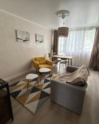 Charmant appartement Grand Stade