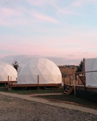 Glamping 4 us