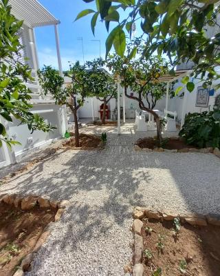 Casa Virgilio