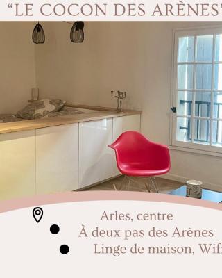 "Le cocon des arènes" Arles centre
