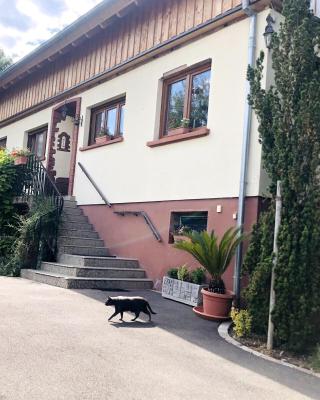Gite du Ried