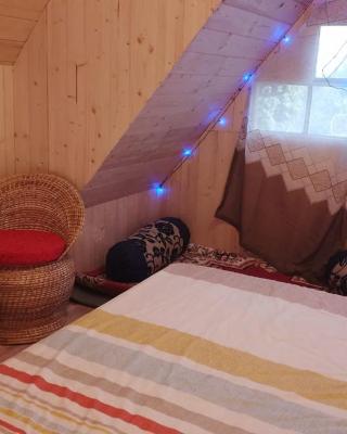 Cozy Nest Homestay