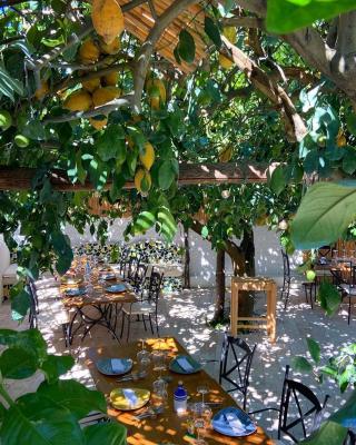 Don Salvatore Resort