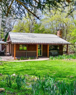 Creekside Cabin Retreat with Private Deck in Payson