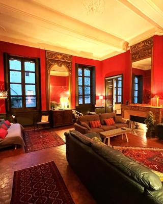Palais des Papes - Spacious Historic Apartment in Private Mansion ! Free PARKING Nearby ! Spacieux Appartement Historique dans Hôtel Particulier ! PARKING à proximité Offert !