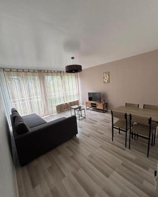 2 chambres proche centre-ville