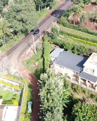 Mayas Suites