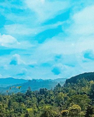 Ella Zenith View