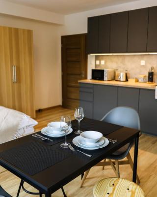 Jáchymov STARt point no 41 - Rezidence K Lanovce