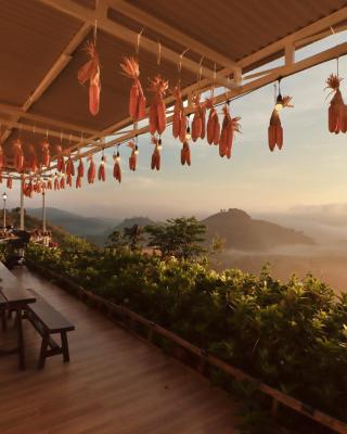 THỎ NON GARDEN CLOUDY OCEAN VIEW