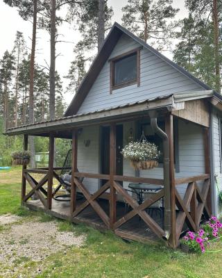Kurumajake Peipsi järv