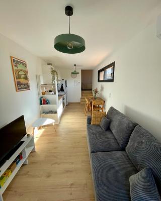 Bel appartement à Céret