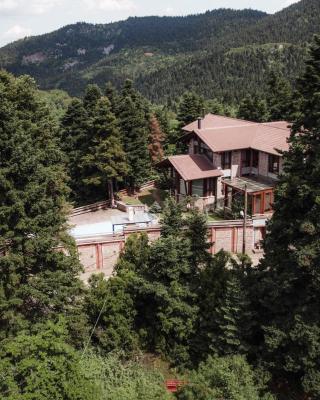 Pavliani Cliffside Retreat