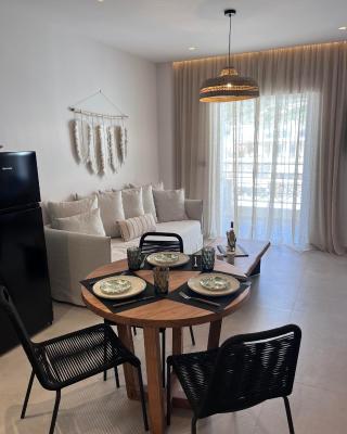 Adam's Luxury Studio