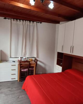 Casa Mango