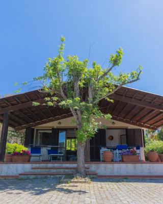 Villino Michela - HelloElba