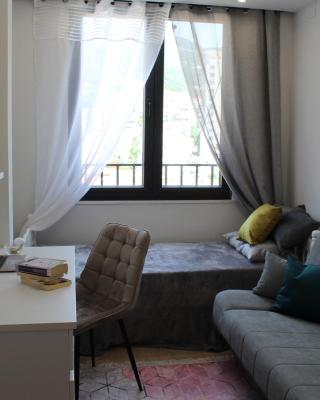 Modern apartments by the sea in the center of Igalo