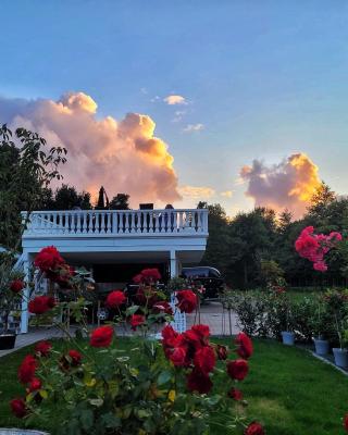 Boutique-Hotel Art Zone Ranch