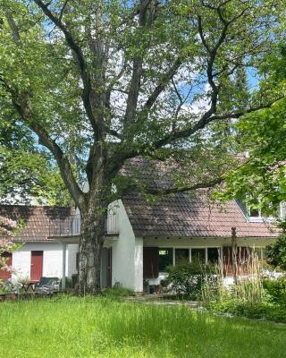 Landhaus in Dießen am Ammersee