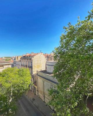 Nid perché en centre historique d'Avignon