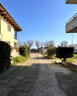 MaraMare