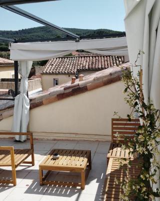 Un nid sur les toits avec terrasse