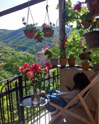 Cherqe Guest House