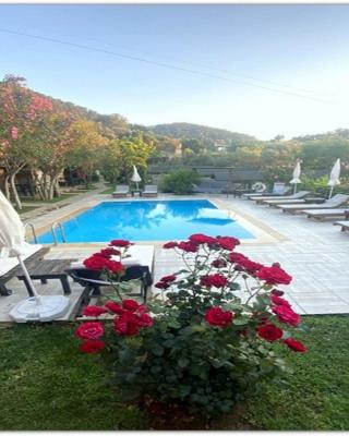 Montenegro Motel