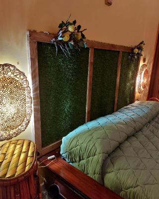 B&B Profumo di Bergamotto