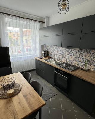 Apartmán u Šenků