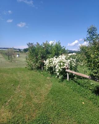 Agriturismo Il Cipresso
