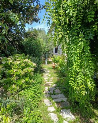 Appartement indépendant privatif avec jardin