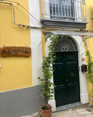 A Finistella