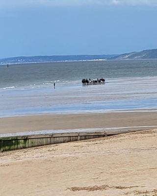De la mer