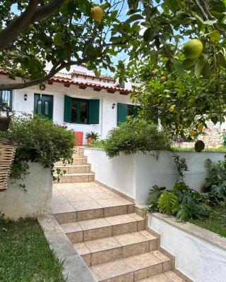 Perivolakia Garden View